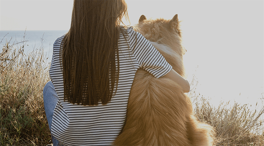 Philosophie und Werte